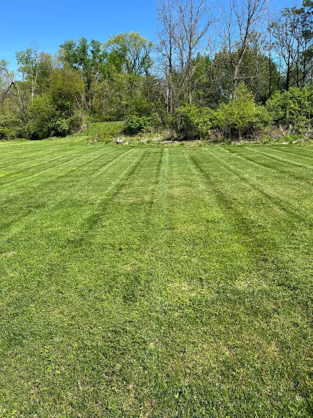 Heyen Lawn Service professional lawn mowing