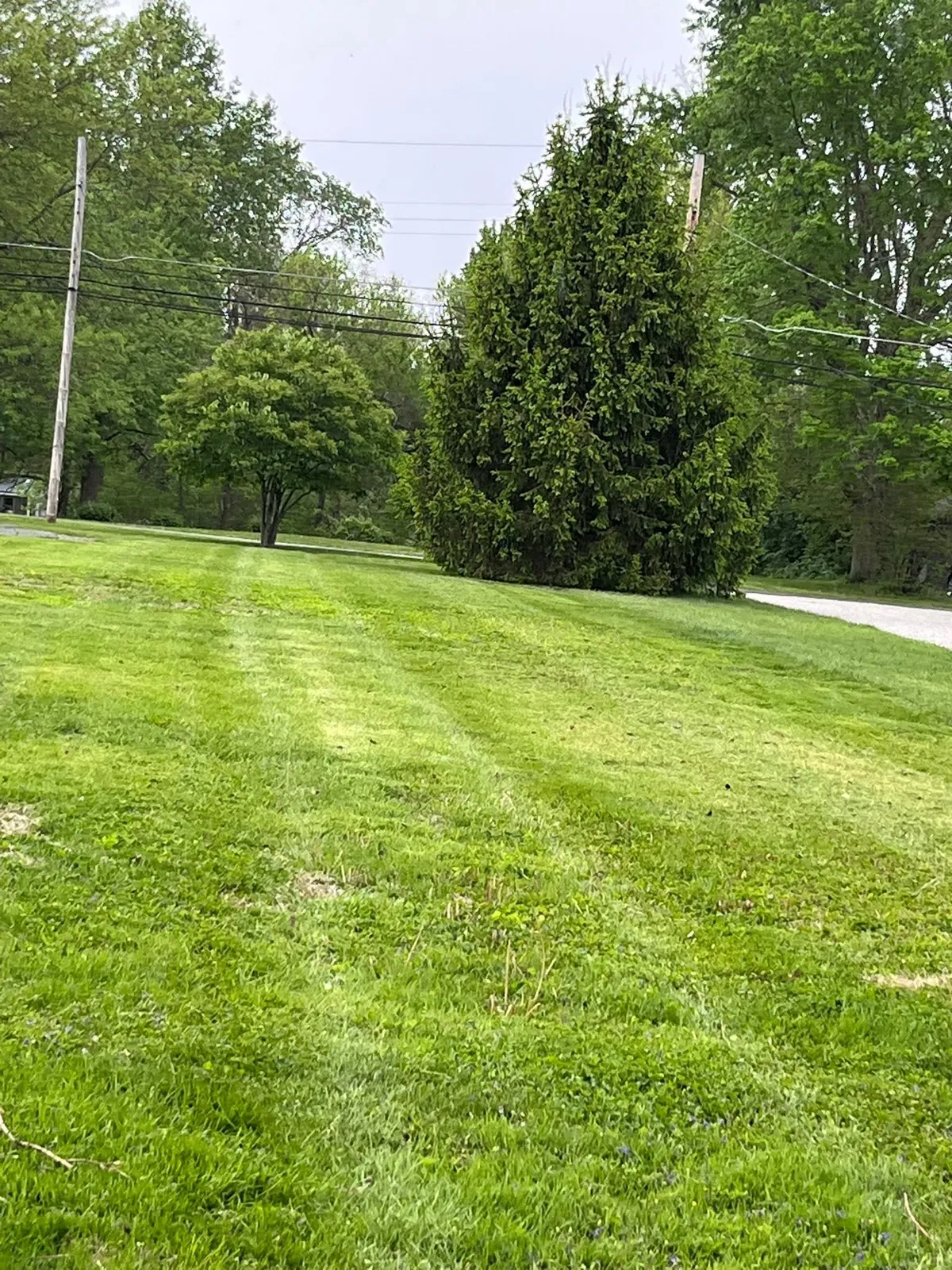 Beautiful green lawn after mowing by Heyen Lawn Service
