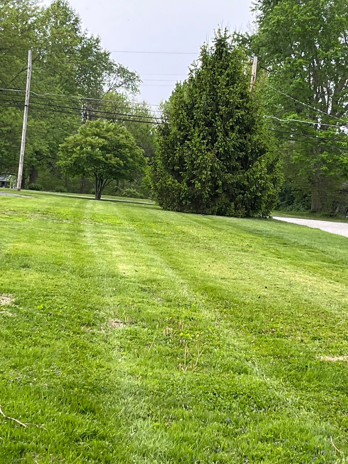 Lawn mowing in West Terre Haute, IN by Heyen Lawn Service