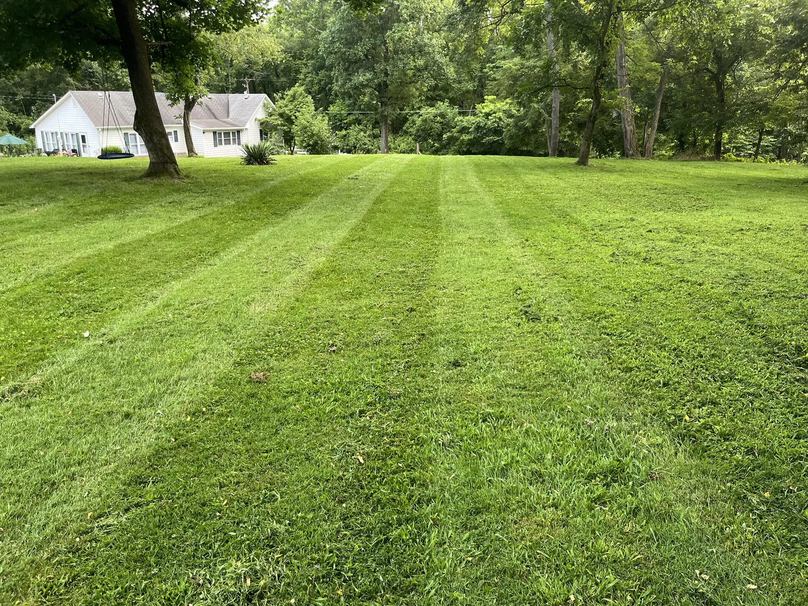 Clean landscaping and outdoor maintenance service